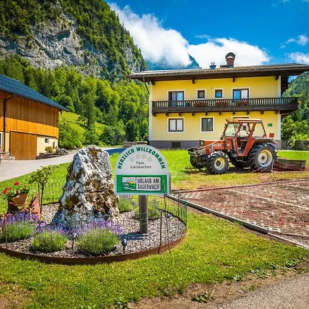 Bed & Breakfast Hinterkellaubauer