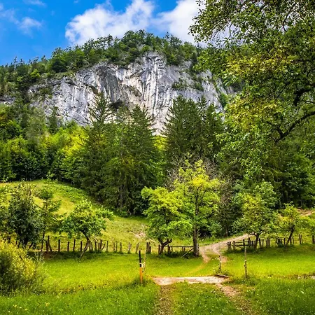 Hinterkellaubauer Bed & Breakfast