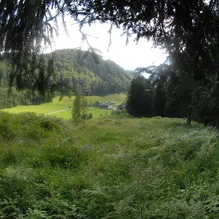 Hinterkellaubauer