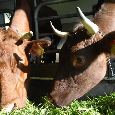 Couette-café Hinterkellaubauer 3*