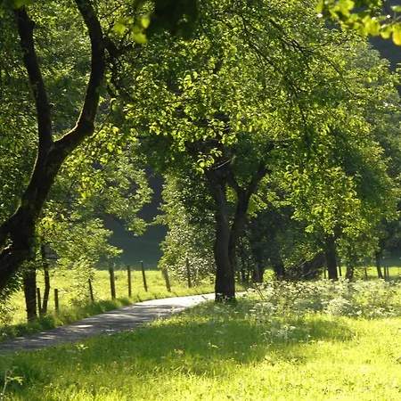 Couette-café Hinterkellaubauer Kuchl