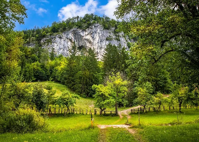 Hinterkellaubauer Bed & Breakfast