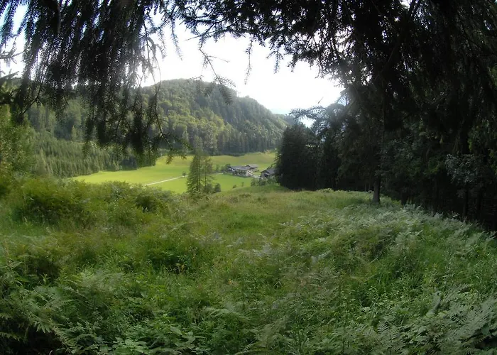 Hinterkellaubauer