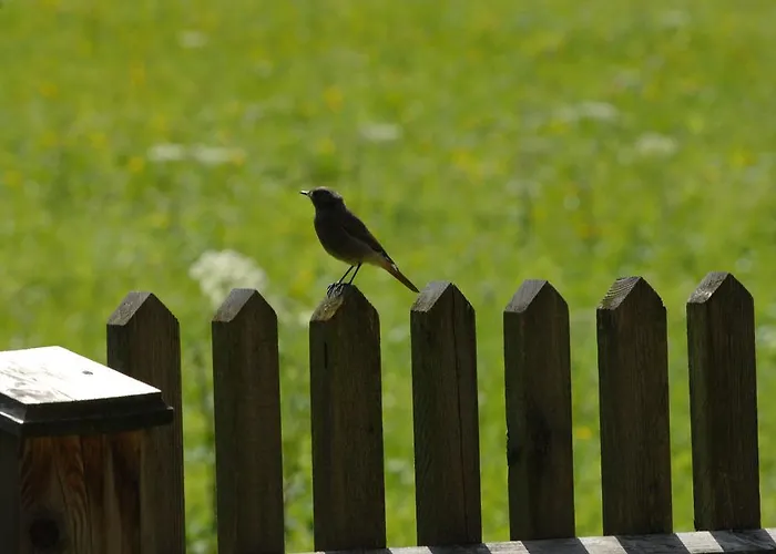 Hinterkellaubauer Kuchl