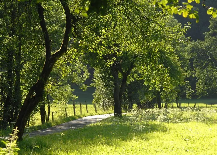 Bed & Breakfast Hinterkellaubauer Kuchl