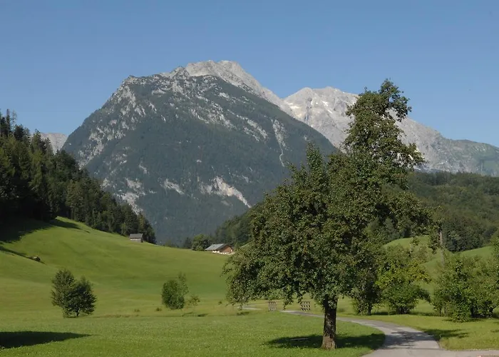 Bed & Breakfast Hinterkellaubauer 3*